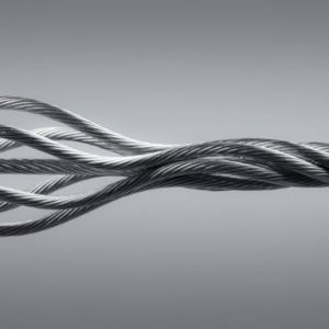 СC(j)䓽zKҪpF(xin)Ġr