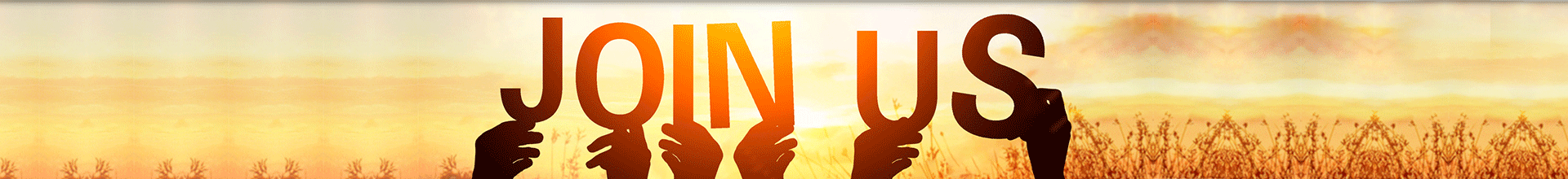 a(chn)н鷱sI(y)(w),ܛpɸ㶨